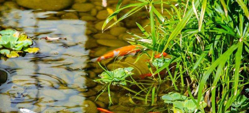 大理Bingo·海逸十号海景客栈(洱海才村码头店)图片