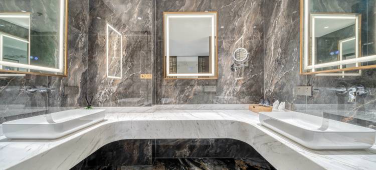 上海陆家嘴艾力万达悦华酒店图片