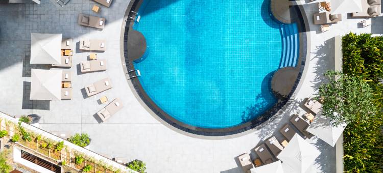 新加坡乌节康莱德酒店(Conrad Singapore Orchard)图片