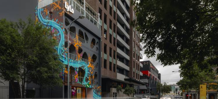布里斯班Lylo(LyLo Brisbane)图片