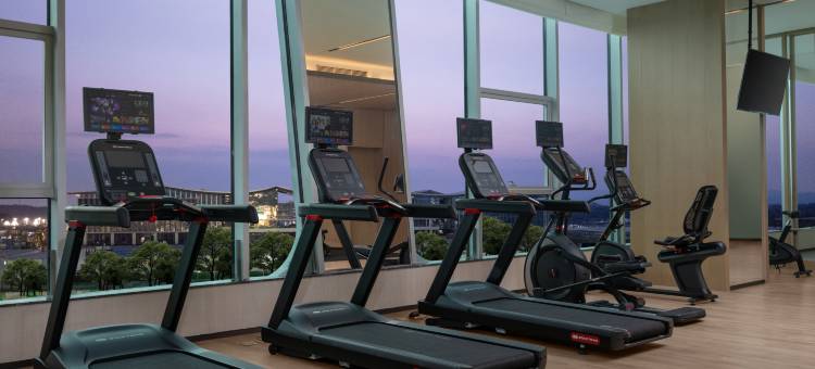 成都东部新区假日酒店图片