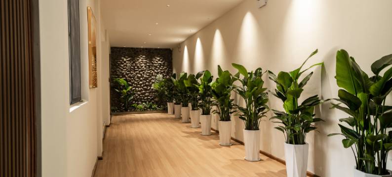 优禾享精选酒店(昆明翠湖云南大学店)图片