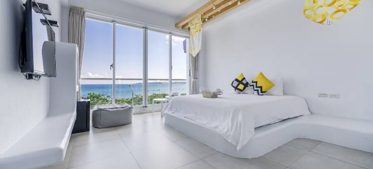 希腊遇见猫图片