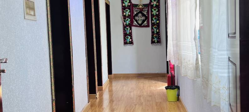 哈那提艾比西风情农家院图片