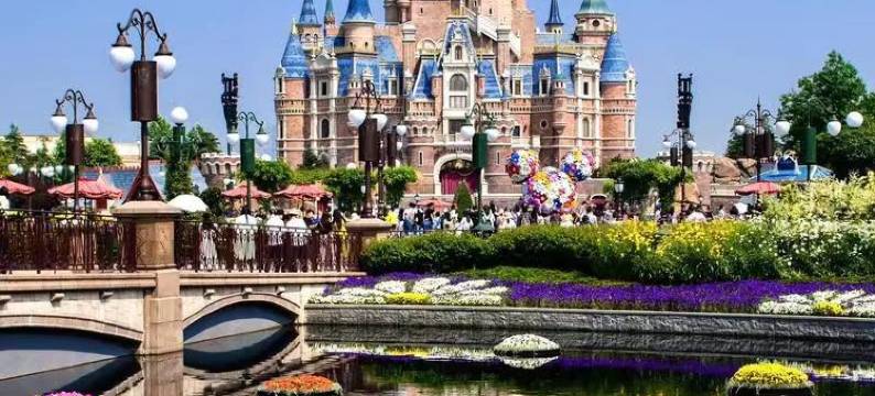 上海沪雅轻居酒店(上海国际旅游度假区店)图片