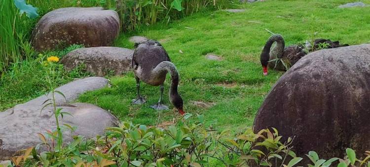 云宿精品酒店(南平万达广场店)图片