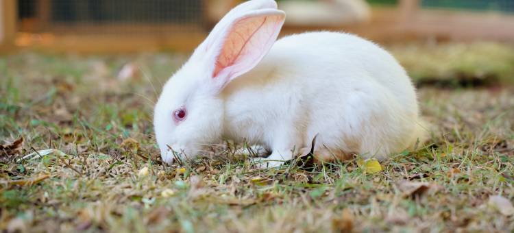 厦门佰翔软件园酒店(湖里区店)图片