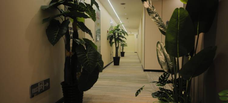 巴黎之吻轻奢酒店(武汉积玉桥店)图片