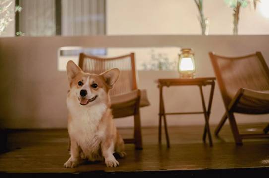 景德镇星瓷·逸舍民宿(陶溪川文创街区店)图片