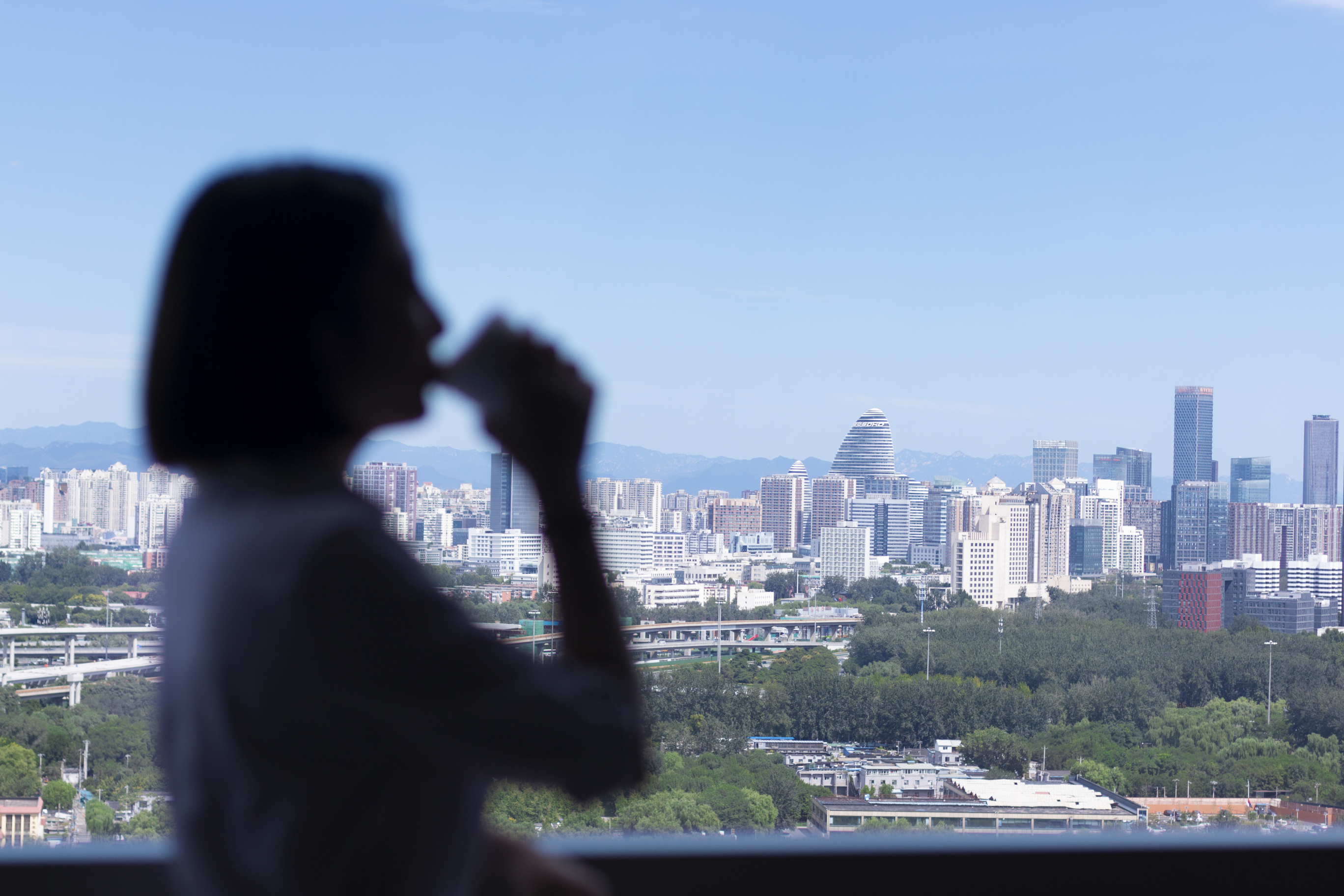 Beijing Marriott Hotel NortheastOver view