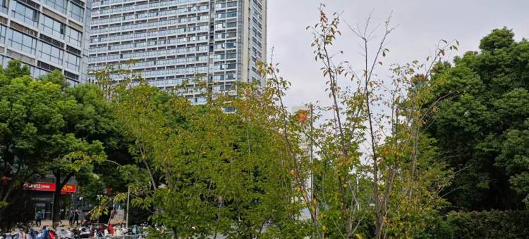 四海青年民宿图片