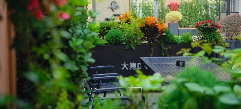 大隐丨隐逸花园酒店(上海静安大悦城苏州河店)图片