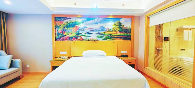 维也纳酒店(长沙汽车南站店)图片