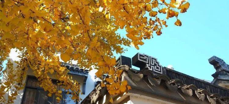 花筑·扬州个园客栈(东关街店)图片