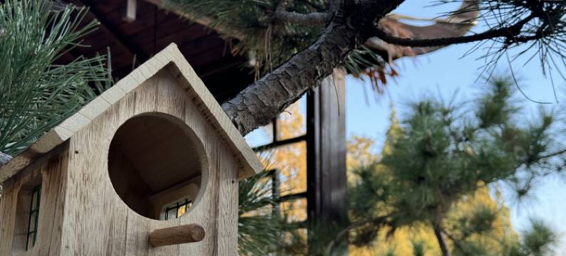 犁桥船仓青年营民宿图片