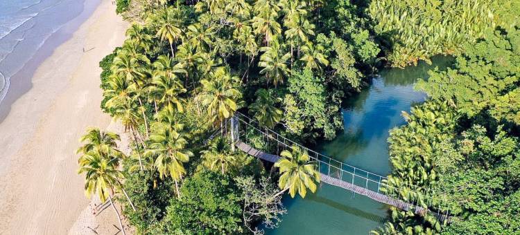 红门阿卡迪亚海滩度假村-由红门酒店管理(Arkadia Beach Resort by RedDoorz)图片