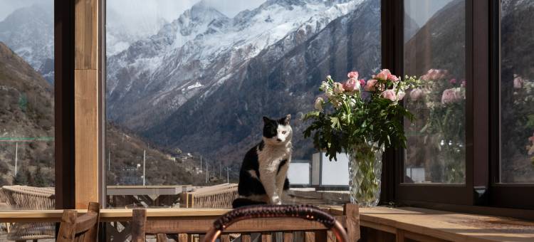 四姑娘山阅山四季隐宿(长坪沟景区店)图片