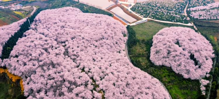 安顺•悦漫致丨CINEMAMTHSCENERYVACAY温泉酒店(平坝南站区政府店)图片