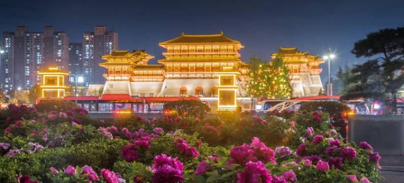 洛阳瑞莱悦旅酒店(丽景门十字街洛邑古城店)图片