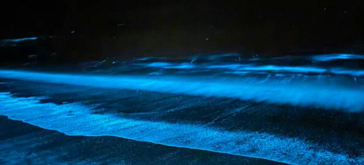 花筑·平潭山海境日落风车海景民宿图片