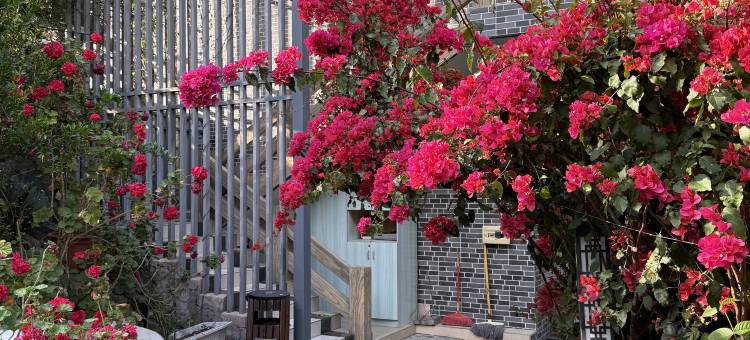 九龙溪韵农庄图片