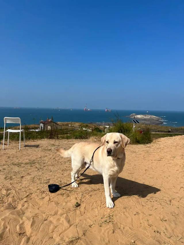 平潭海天浠园海景客栈(模镜村沿海海滩蓝眼泪观景点店)图片