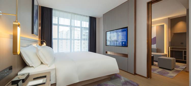 麗枫酒店(绵阳园艺山科创园锦云澜店)图片