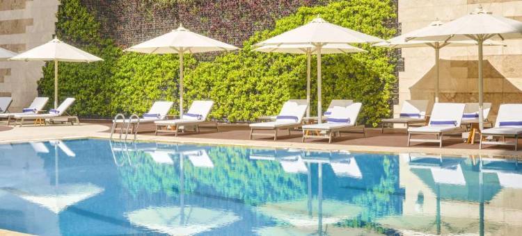 开罗尼罗河希尔顿酒店-马阿迪(Hilton Cairo Nile Maadi)图片