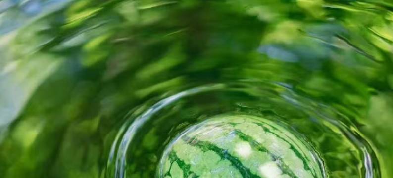 竹海星空•静夏山野观景亲子度假美宿(安吉天目山漂流店)图片