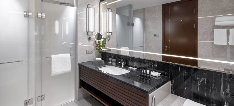 莫斯科阳光酒店(Soluxe Hotel Moscow)图片