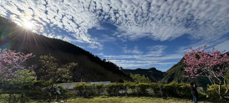 阿里山龙头当归民宿图片