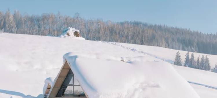 大菠萝山野派对｜中古法式雪山观景度假民宿(喀纳斯景区店)图片