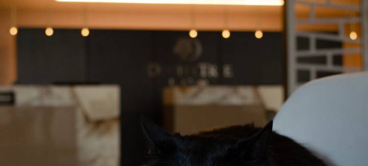 希尔顿逸林酒店-波哥大(DoubleTree by Hilton Bogota Salitre ar)图片