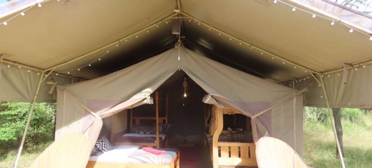 Oseki Maasai Mara Camp图片