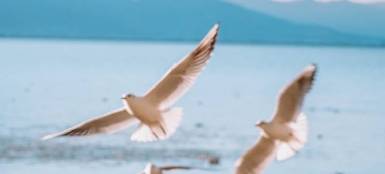 阿凯缇娅·安隐水时光海景度假酒店图片