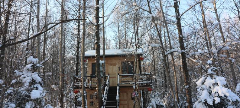 铁力逍遥八仙湖酒店图片