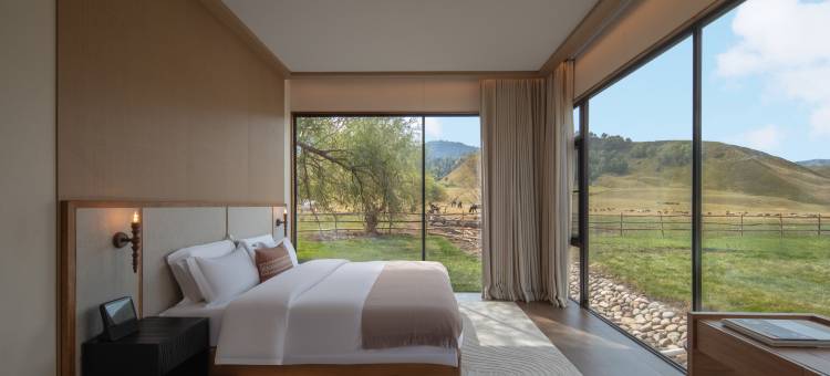 携程度假农庄(那拉提云杉隐宿联营店)图片