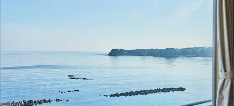 胜浦三日月海洋公园酒店(Mikazuki Sea-Park Hotel Katsuura)图片