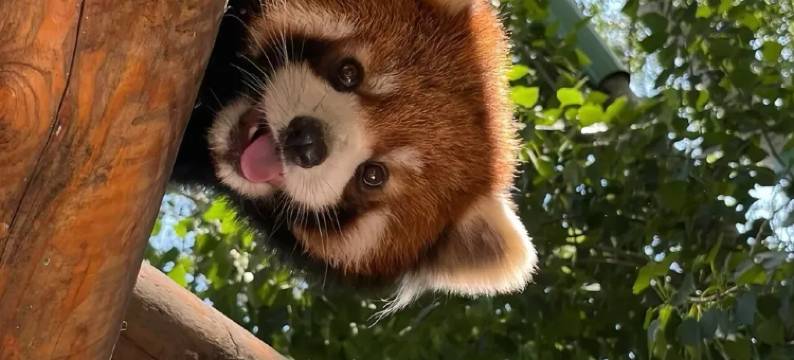 云端·道友民宿(青城山店)图片