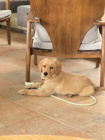 万疏山谷民宿图片