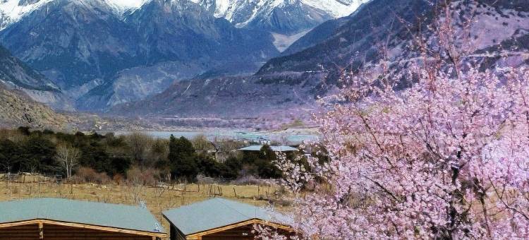 康桑·桃林雪山木屋藏墅图片