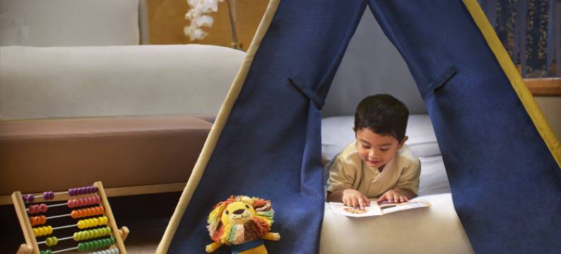 新加坡丽思卡尔顿美年酒店(The Ritz-Carlton, Millenia Singapore)图片