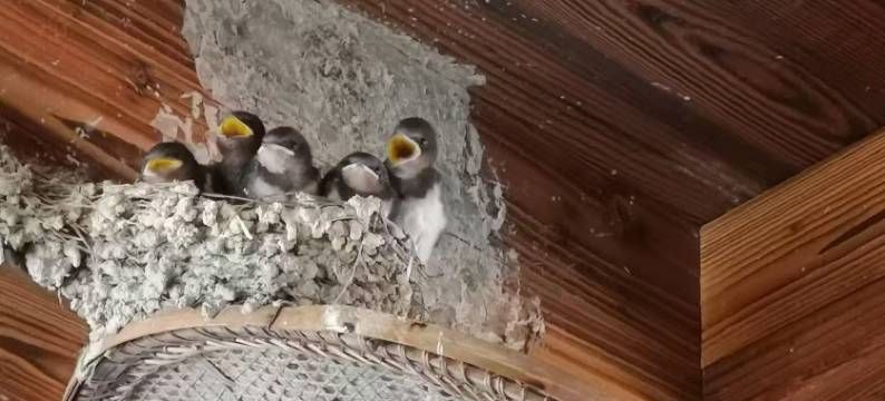 云和云栖民宿图片