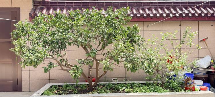 兴化吉发民宿图片