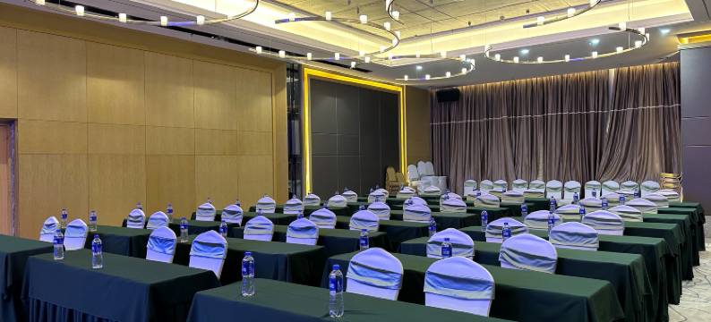 珠海德泊林国际酒店(金湾机场店)图片