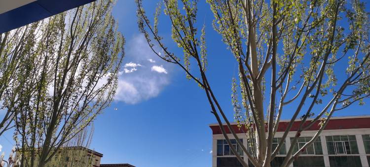 札达星程酒店图片