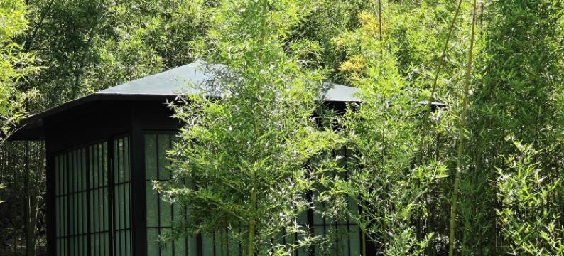 观岑·Courtyard仙踪绿野度假民宿(宁波奉化大堰镇店)图片