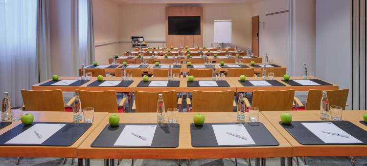 Holiday Inn Express 法兰克福机场(Holiday Inn Express Frankfurt Airport)图片