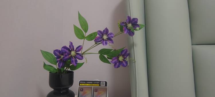 容城芙蓉姐姐的家(海棠苑店)图片