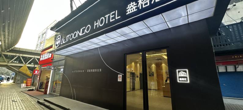 上海盎格酒店(新国际博览中心龙阳路地铁站店)图片